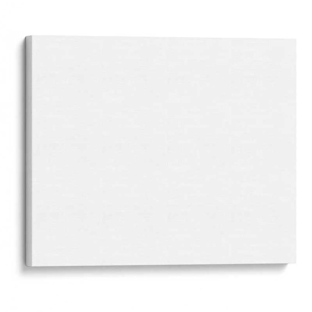 Standard Matte Canvas (1.25")