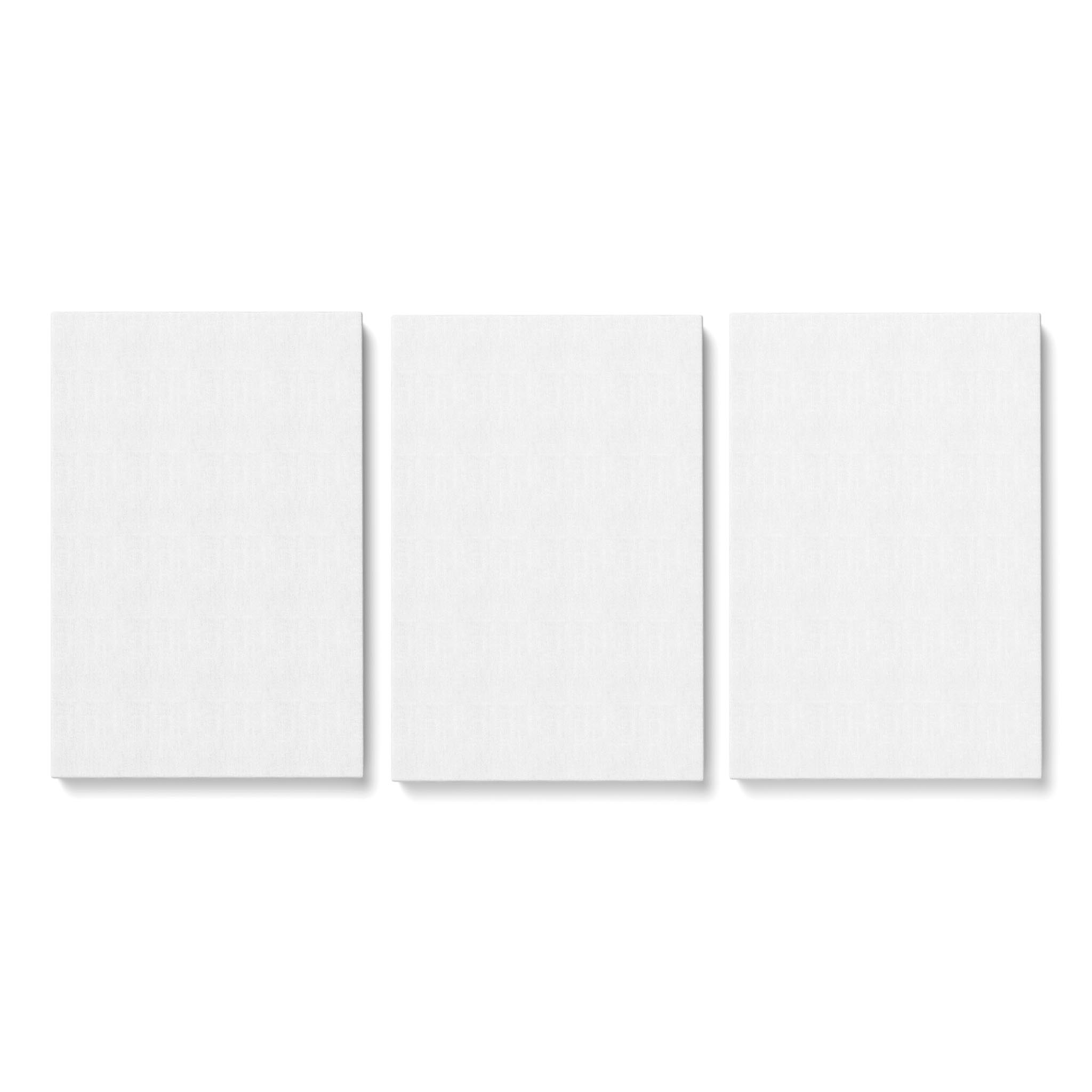 3 Panel Matte Canvas (16x24)