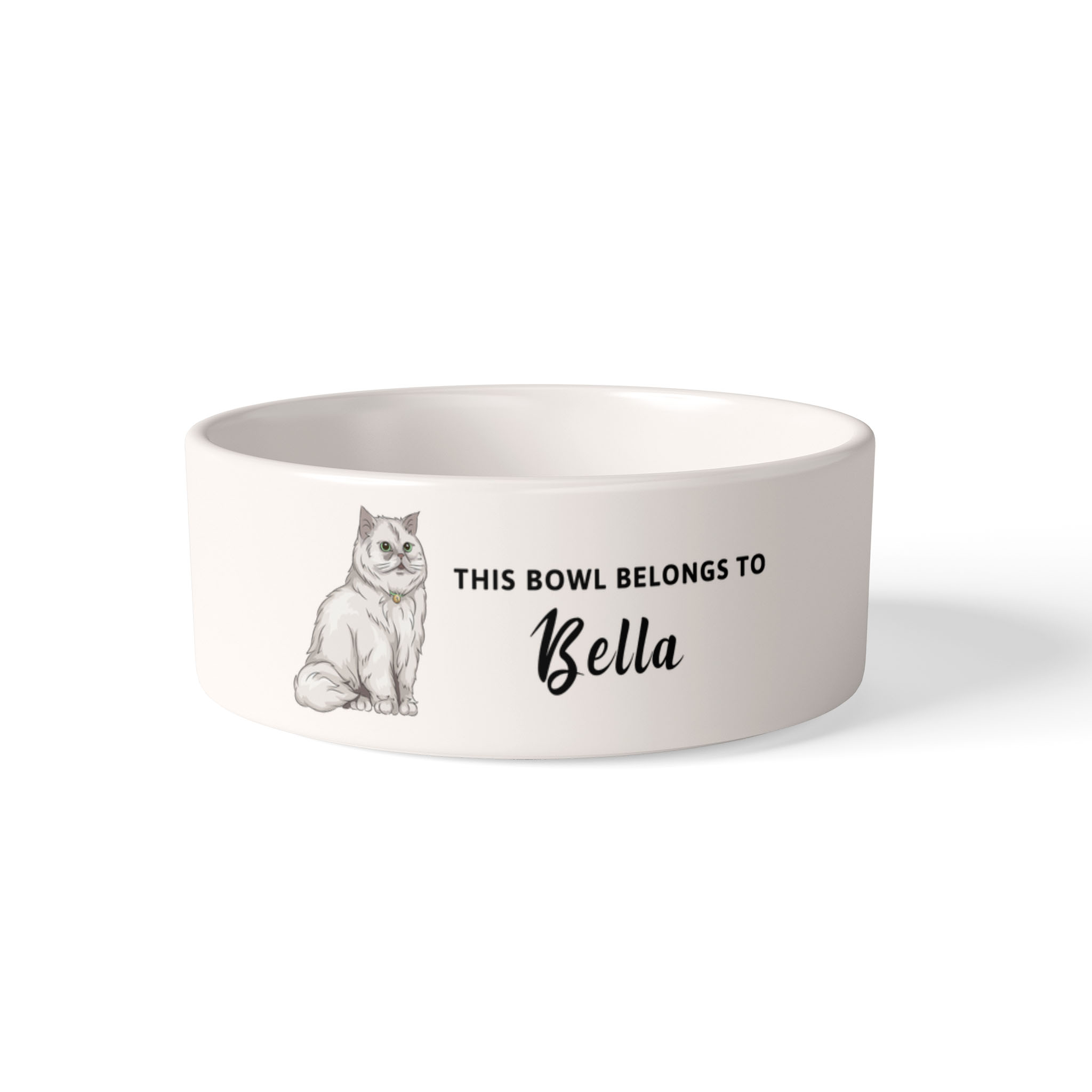 Pet Bowl