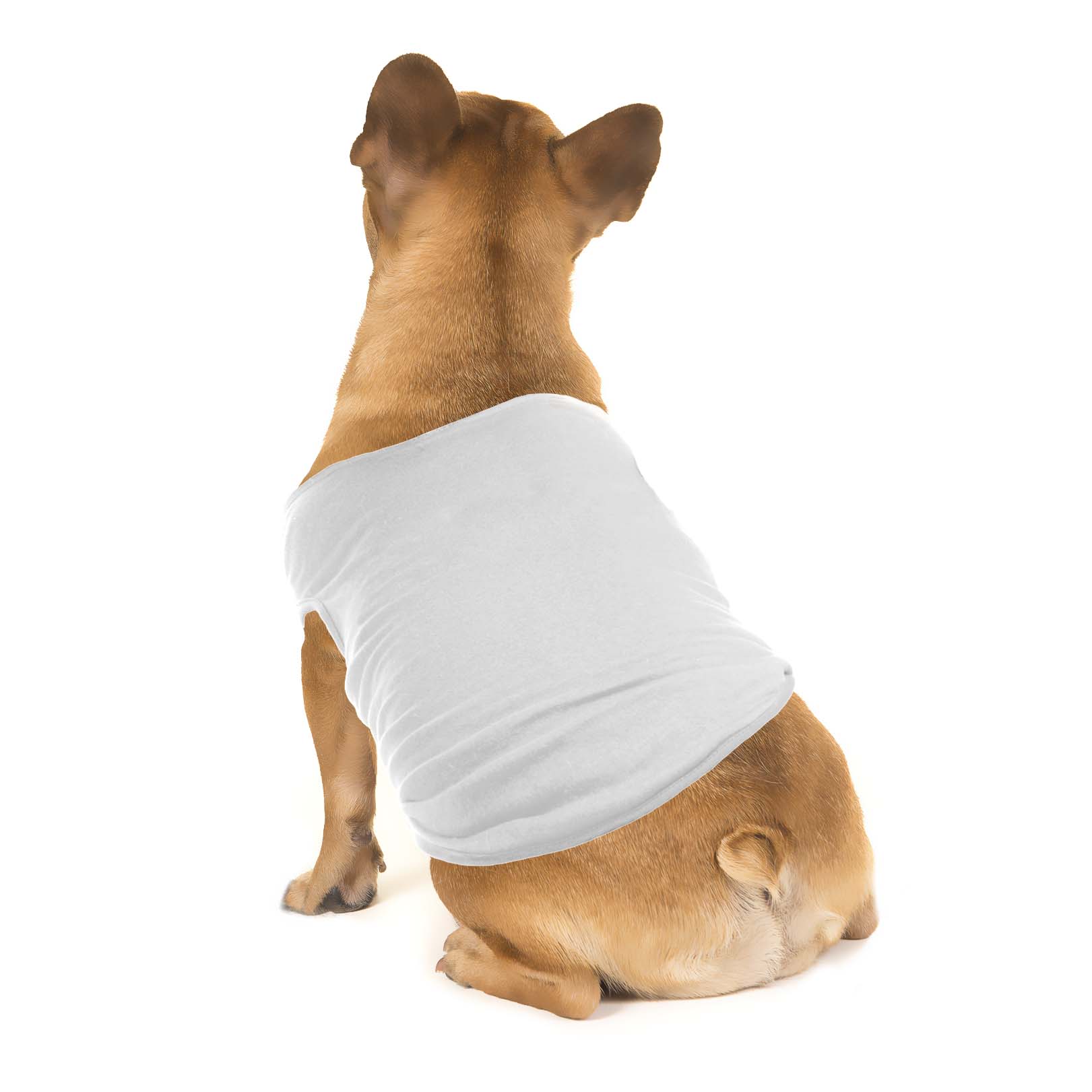 Pet Shirt